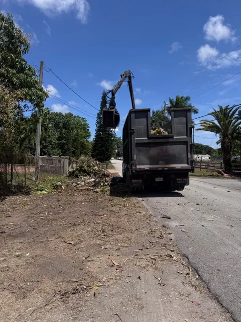 RGS grapple truck hauling off cleared brush and debris