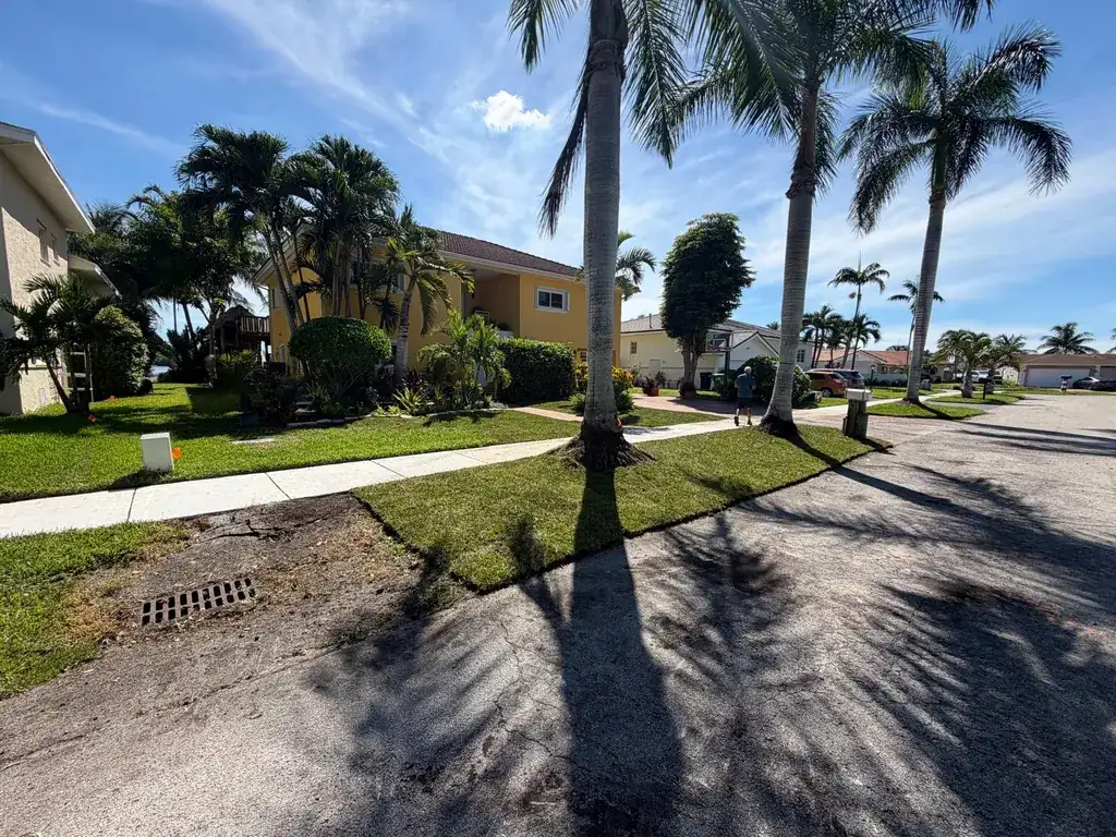 Fresh St. Augustine sod installed by RGS crews along a palm-lined residential street in South Florida