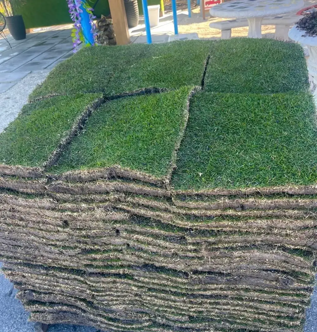 Pallet of fresh-cut sod at the RGS Nursery yard in Miami