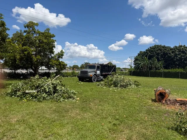 Trees cut down with brush piles, a cut stump and an RGS dump truck on the lawn